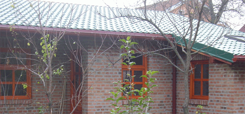 pro4